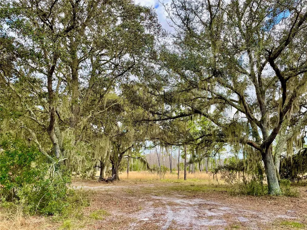 19858 State Road 52 Land O Lakes FL 34637