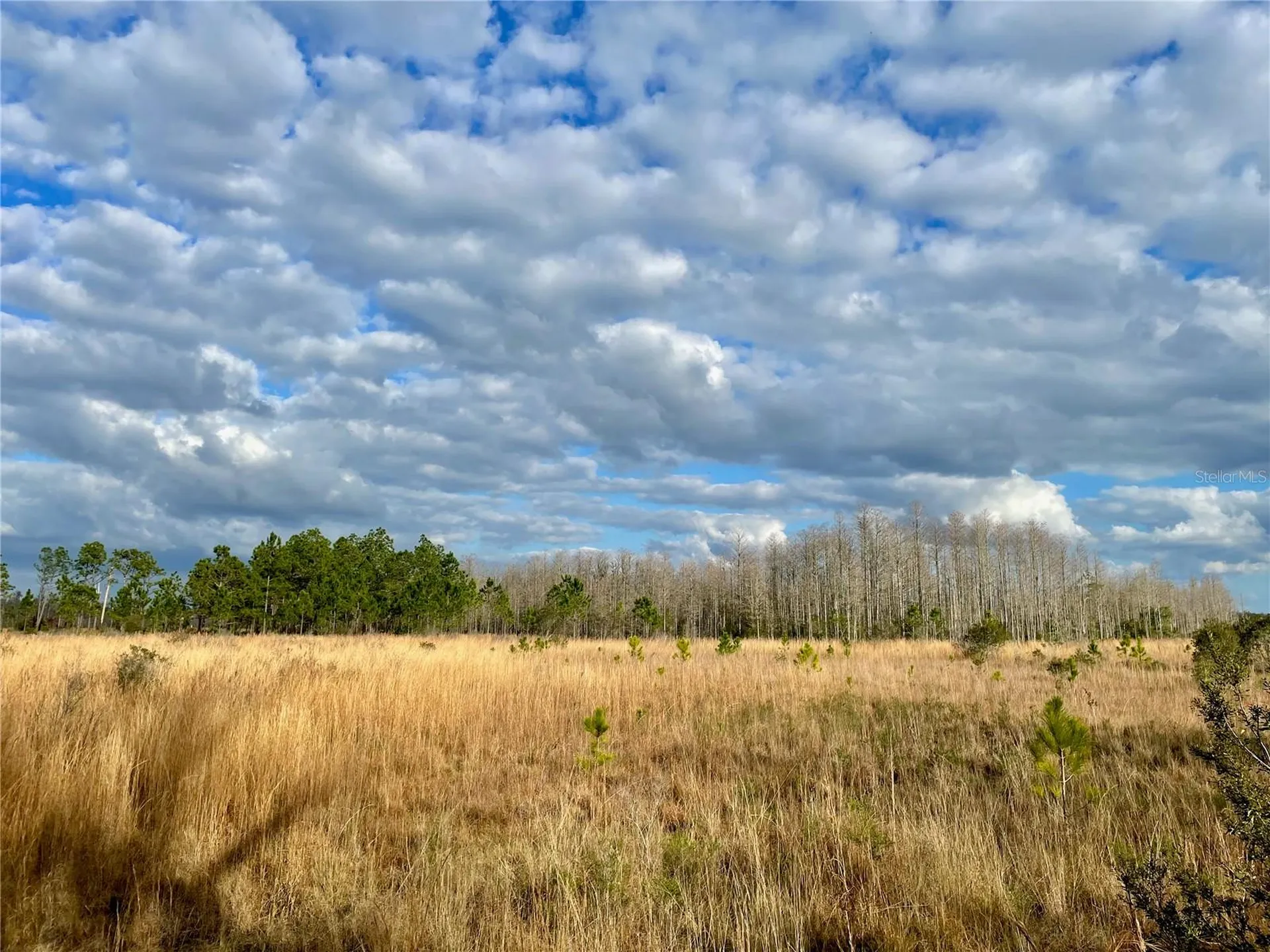 19858 State Road 52 Land O Lakes FL 34637
