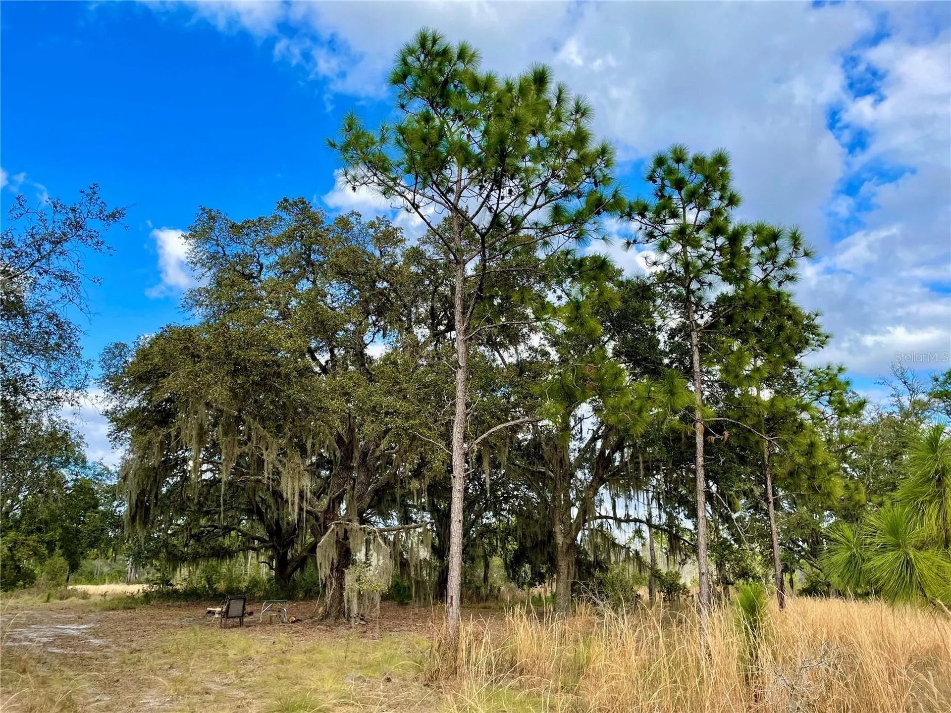 19858 State Road 52 Land O Lakes FL 34637