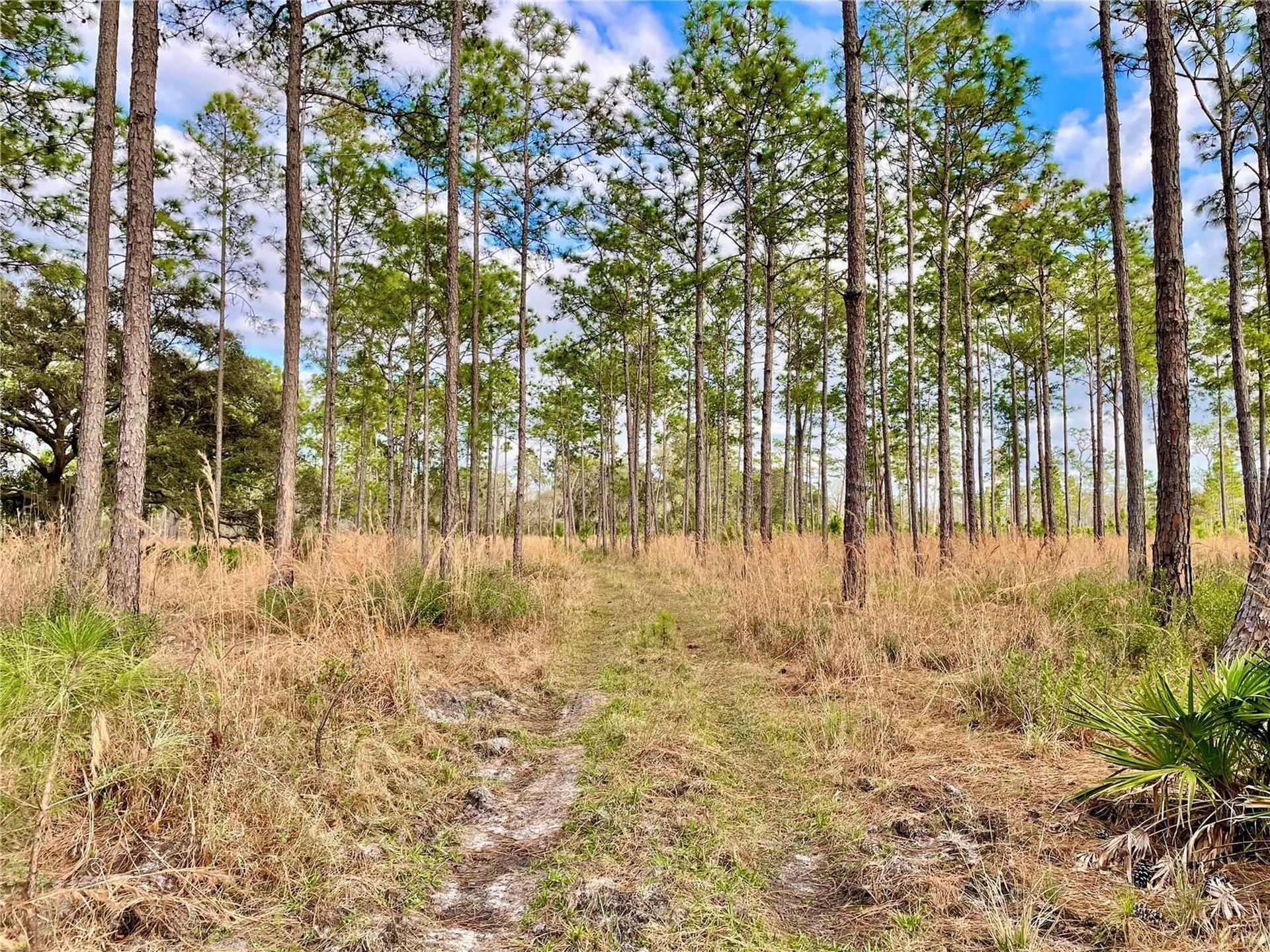 19858 State Road 52 Land O Lakes FL 34637