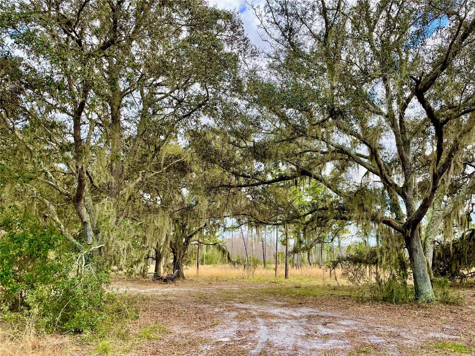 19858 State Road 52 Land O Lakes FL 34637