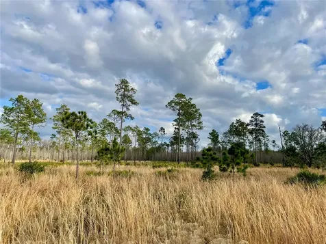 19858 State Road 52 Land O Lakes FL 34637