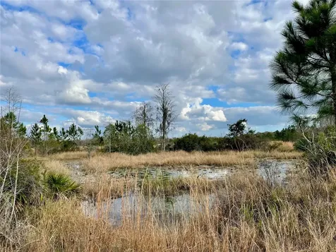 19858 State Road 52 Land O Lakes FL 34637