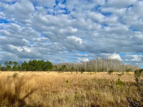 19858 State Road 52 Land O Lakes FL 34637