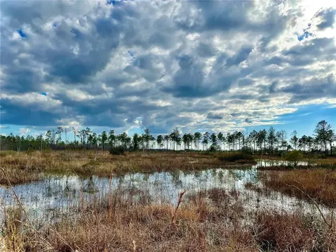 19858 State Road 52 Land O Lakes FL 34637