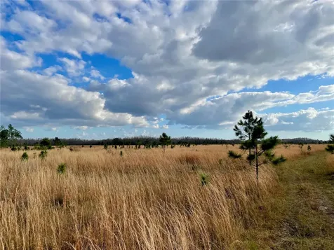 19858 State Road 52 Land O Lakes FL 34637