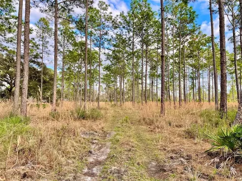 19858 State Road 52 Land O Lakes FL 34637