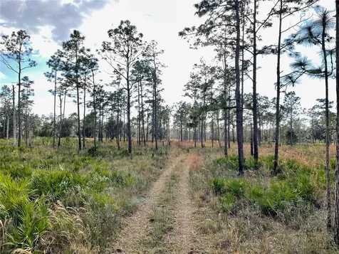 19858 State Road 52 Land O Lakes FL 34637