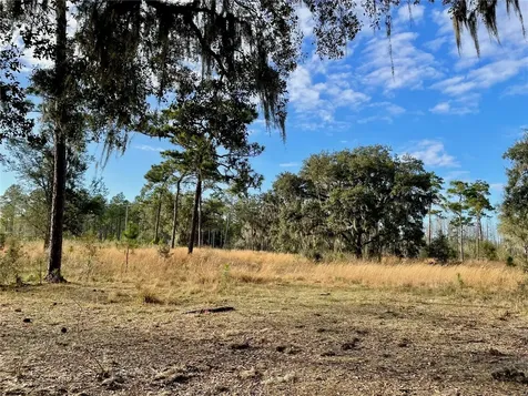 19858 State Road 52 Land O Lakes FL 34637