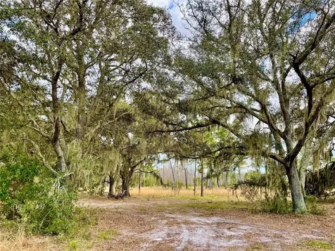 19858 State Road 52 Land O Lakes FL 34637