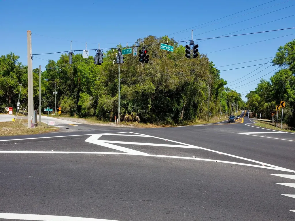 Niles Street Mount Plymouth FL 32776