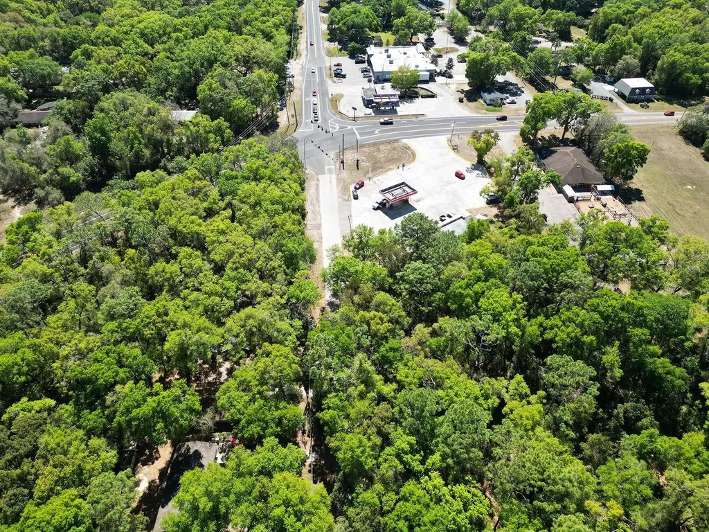 Niles Street Mount Plymouth FL 32776
