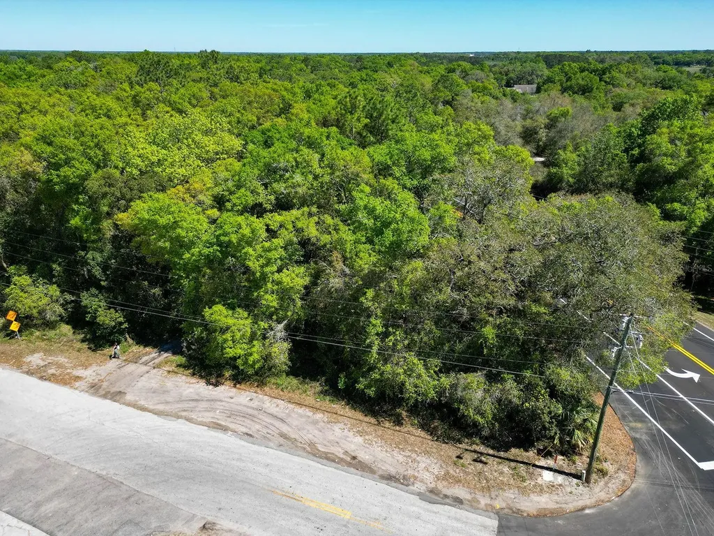 Niles Street Mount Plymouth FL 32776