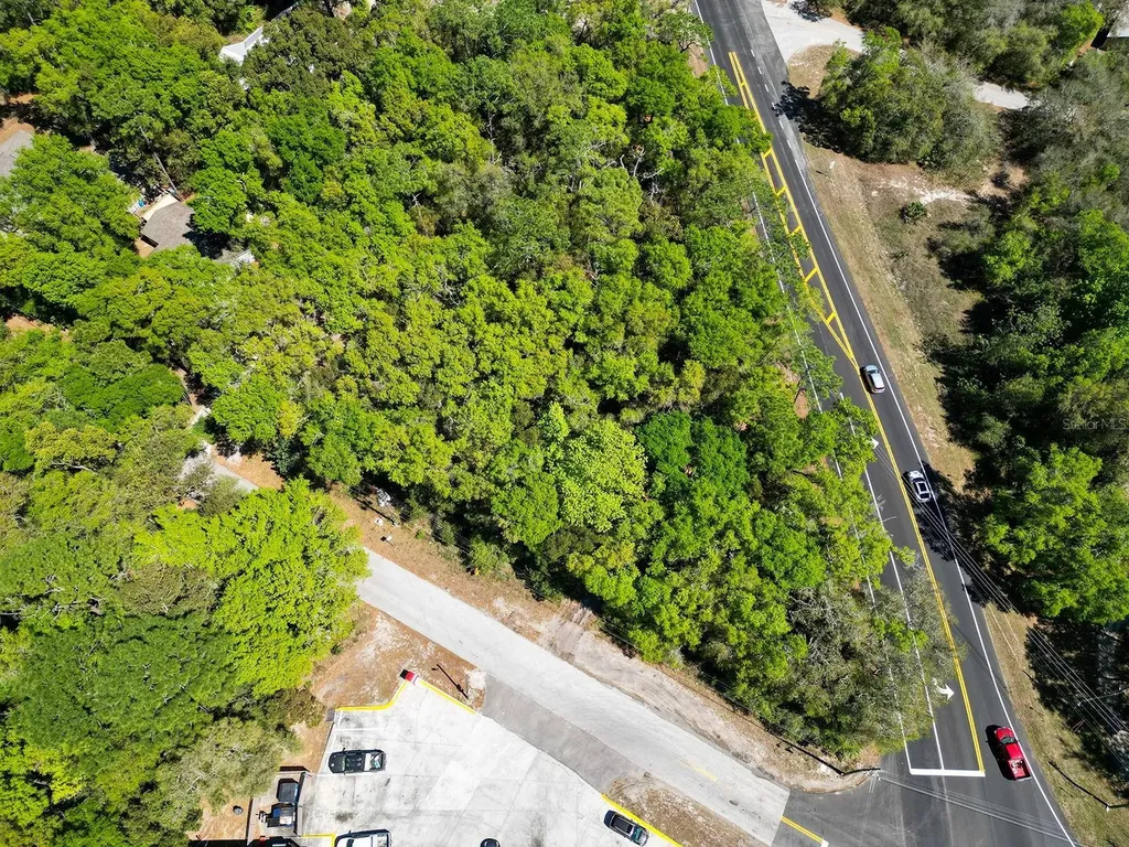 Niles Street Mount Plymouth FL 32776
