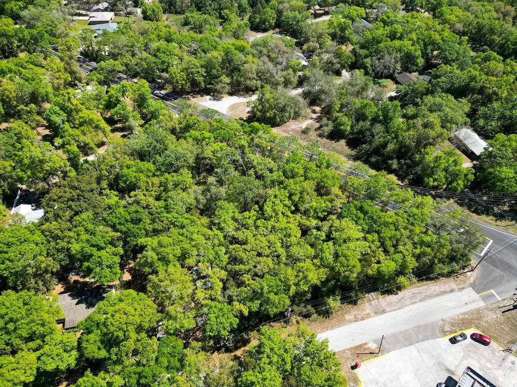 Niles Street Mount Plymouth FL 32776