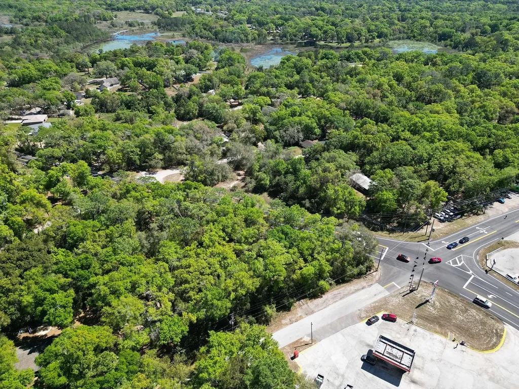 Niles Street Mount Plymouth FL 32776