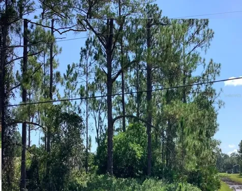Caesar Avenue Orlando FL 32833
