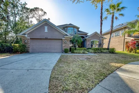 11602 Renaissance View Court Tampa FL 33626
