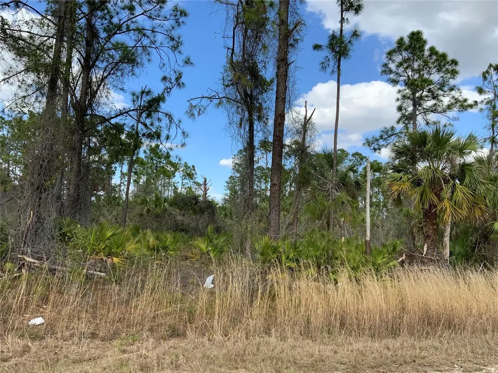 4219 E 30th Street Alva FL 33920