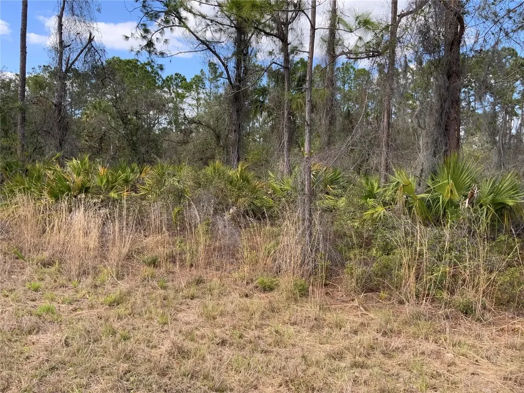 4219 E 30th Street Alva FL 33920