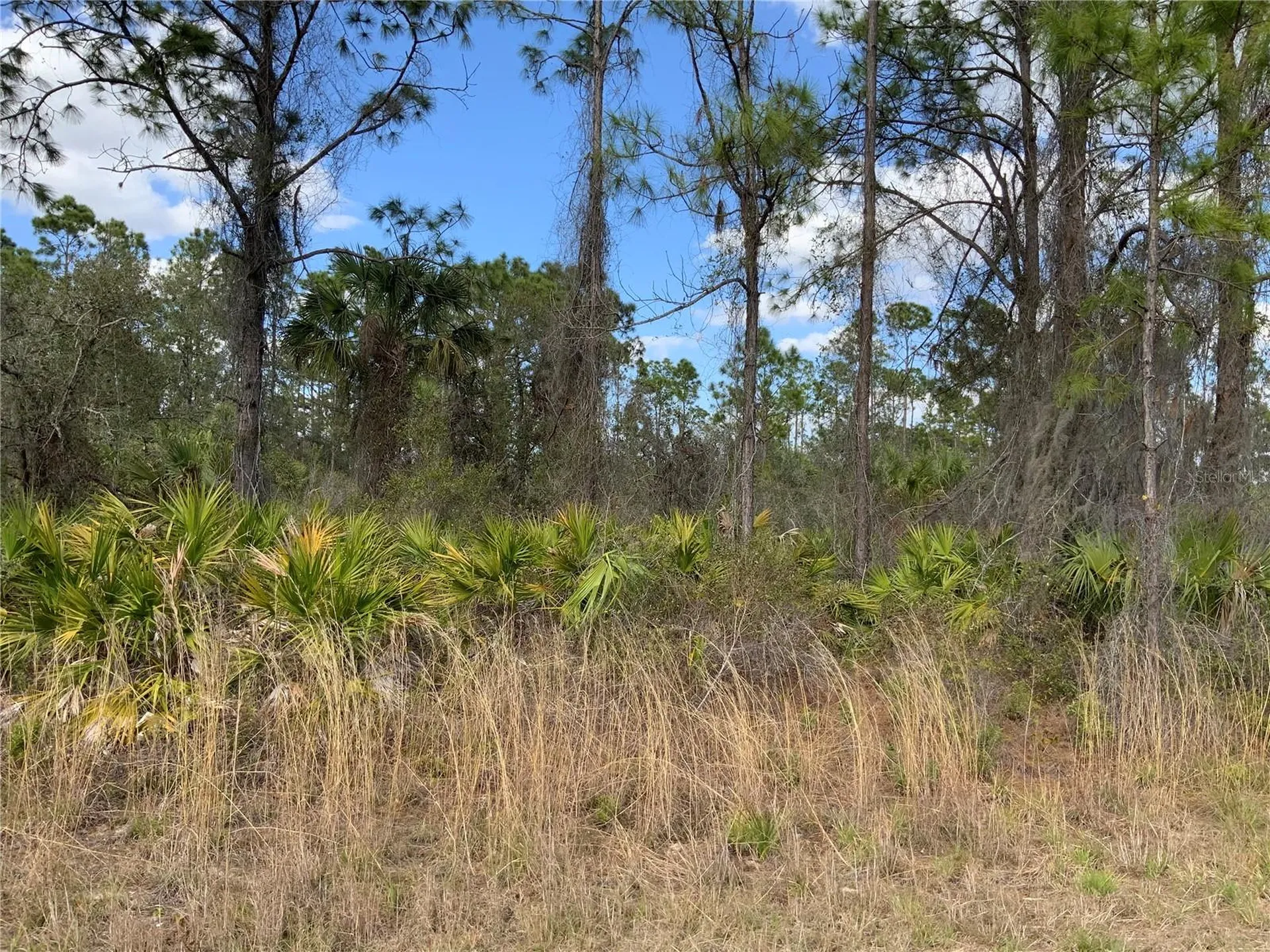 4219 E 30th Street Alva FL 33920