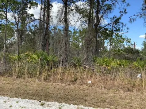 4219 E 30th Street Alva FL 33920