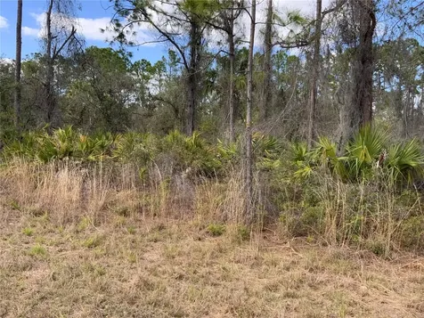 4219 E 30th Street Alva FL 33920
