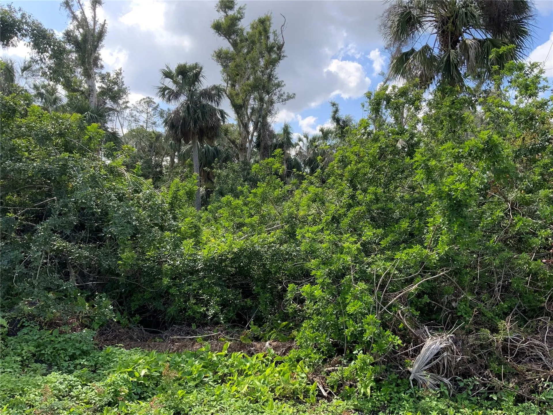 2271 Westwood Road North Fort Myers FL 33917