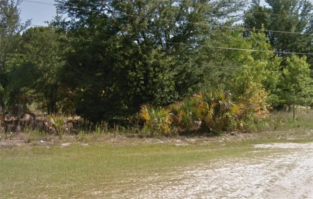 8549 N Buscetta Loop Crystal River FL 34428
