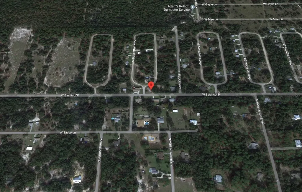 8549 N Buscetta Loop Crystal River FL 34428