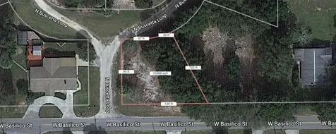 8549 N Buscetta Loop Crystal River FL 34428