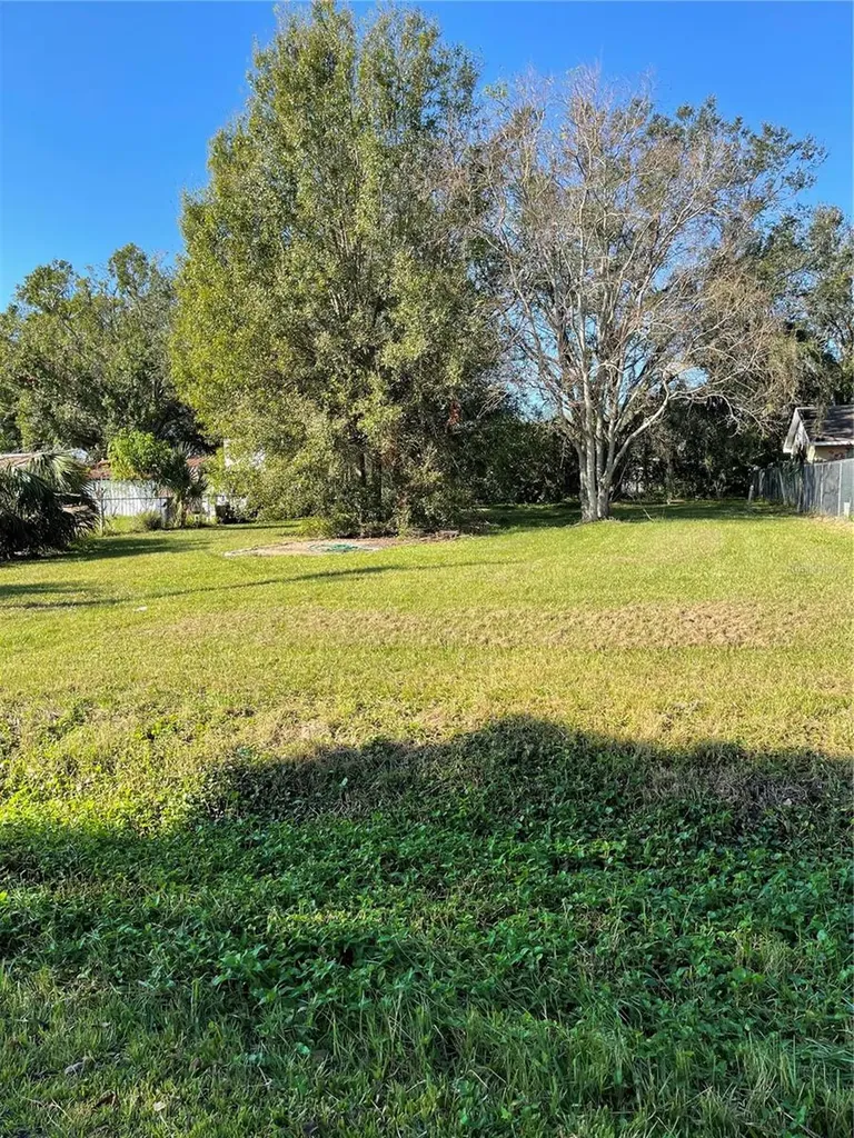 729 24th Street NW Winter Haven FL 33881