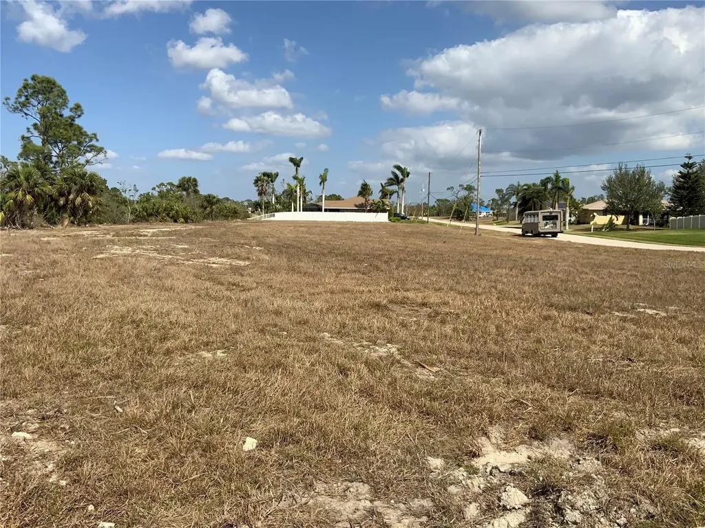 2113 NE 43rd Lane Cape Coral FL 33909