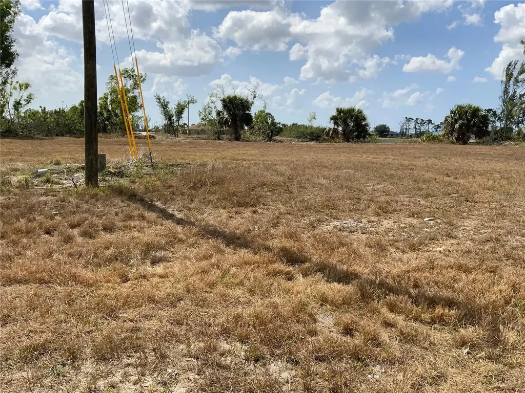 2113 NE 43rd Lane Cape Coral FL 33909