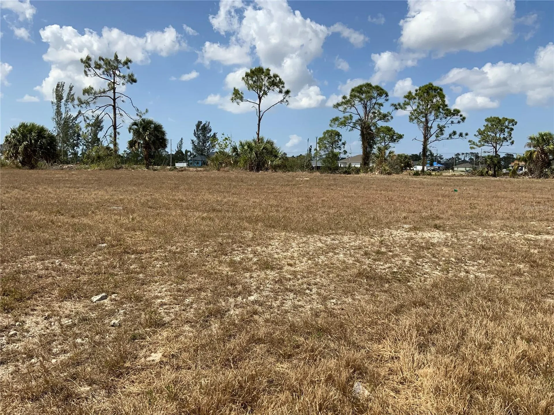 2113 NE 43rd Lane Cape Coral FL 33909