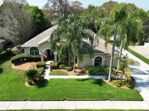 21609 Trumpeter Drive Land O Lakes FL 34639