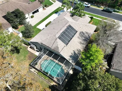 21609 Trumpeter Drive Land O Lakes FL 34639