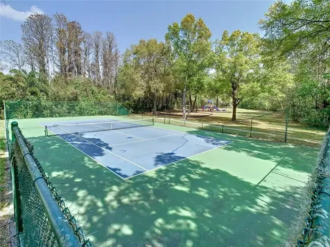 21609 Trumpeter Drive Land O Lakes FL 34639