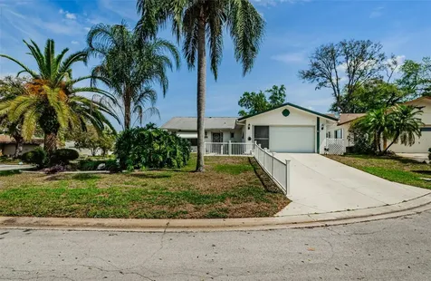 8515 Cedarview Court Port Richey FL 34668