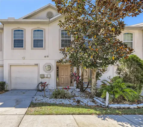 9509 Ashburn Creek Lane Tampa FL 33610