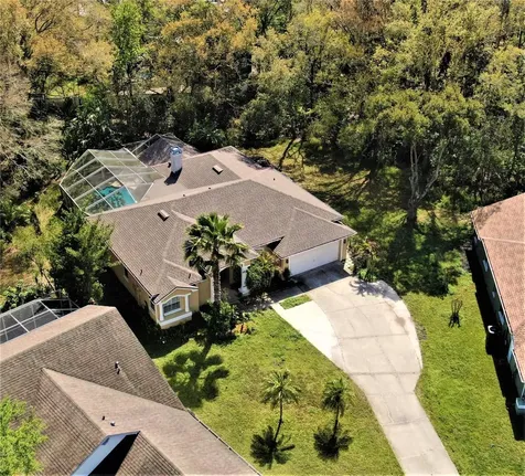 4710 Basswood Street Land O Lakes FL 34639