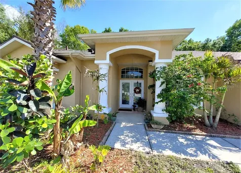4710 Basswood Street Land O Lakes FL 34639