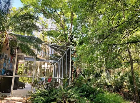 4710 Basswood Street Land O Lakes FL 34639