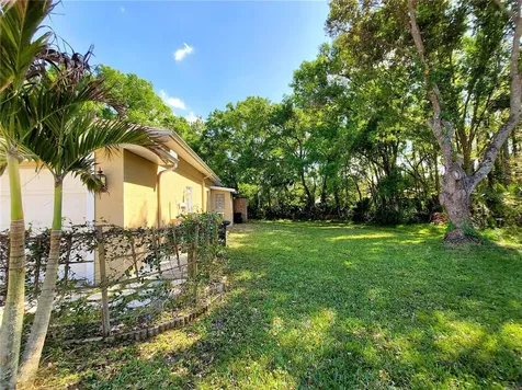 4710 Basswood Street Land O Lakes FL 34639