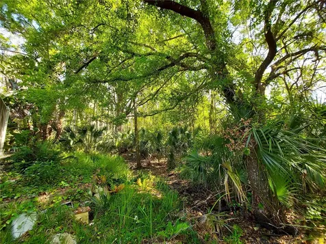 4710 Basswood Street Land O Lakes FL 34639