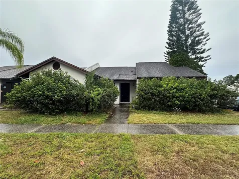 5208 Hopedale Drive Tampa FL 33624