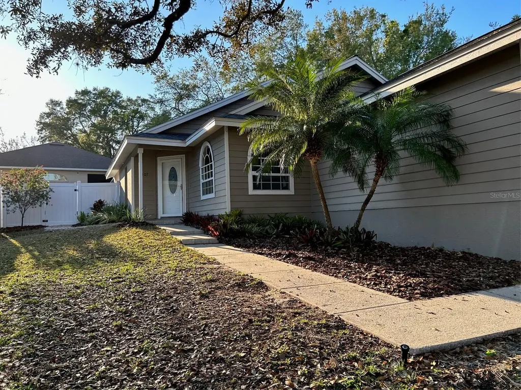 1107 Lake Elsie Drive Tavares FL 32778