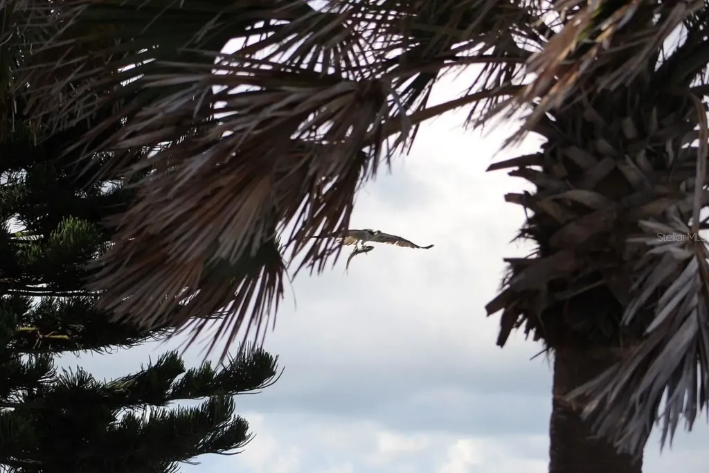 2709 Casey Key Road Nokomis FL 34275