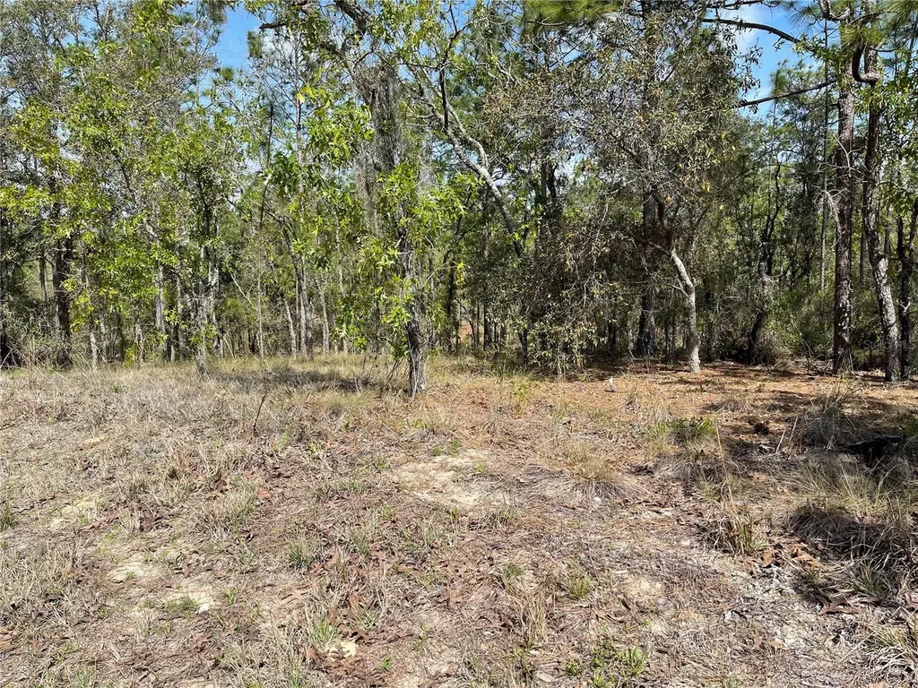 Lot 6 SE 2 Street Williston FL 32696