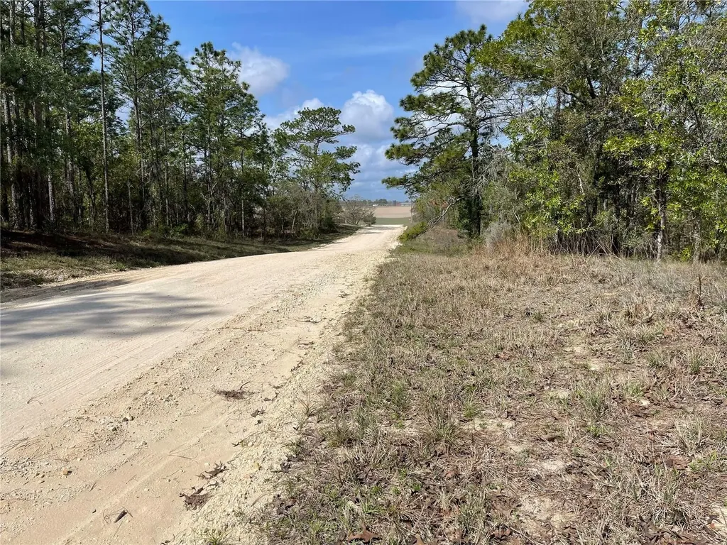 Lot 6 SE 2 Street Williston FL 32696